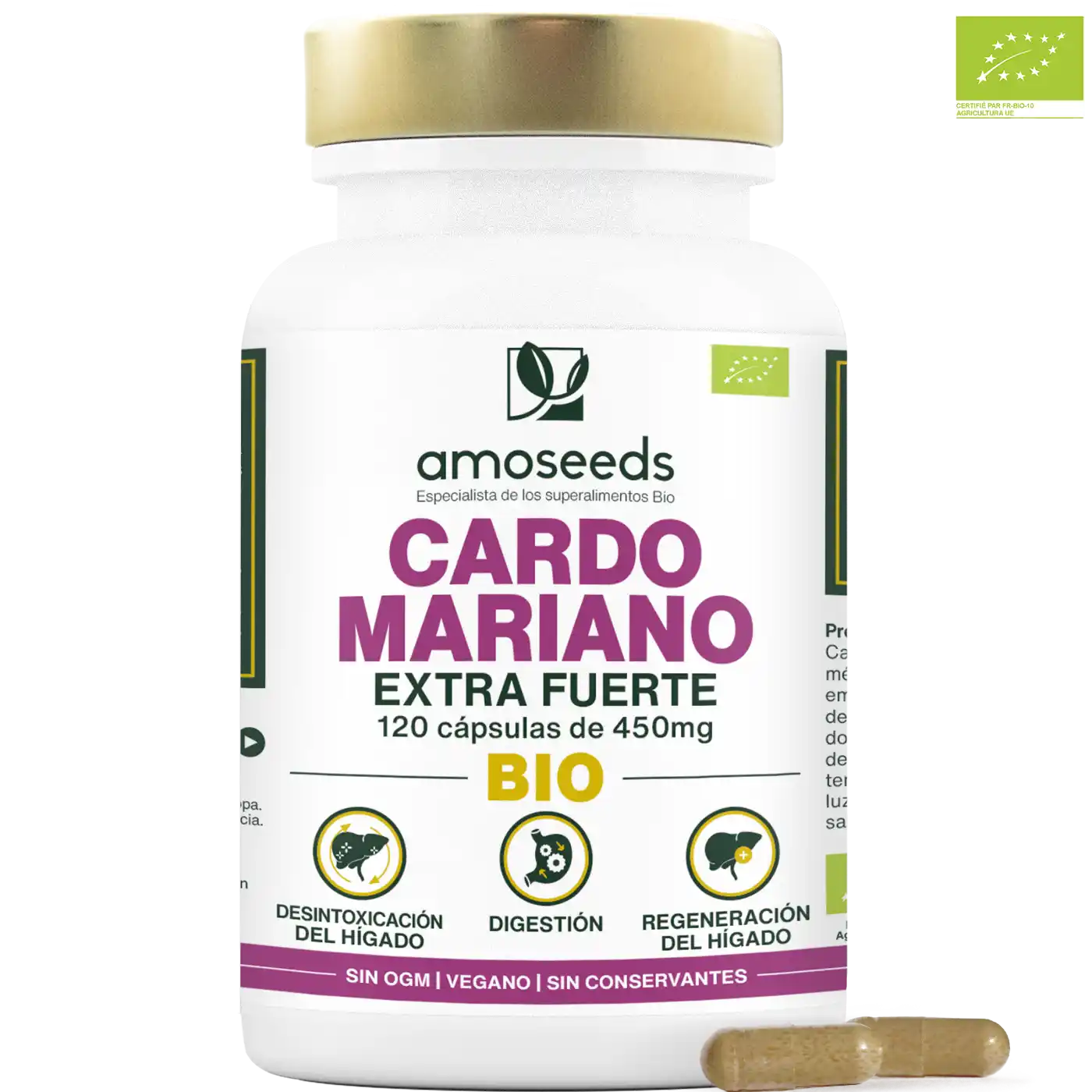 Digestión | Tránsito